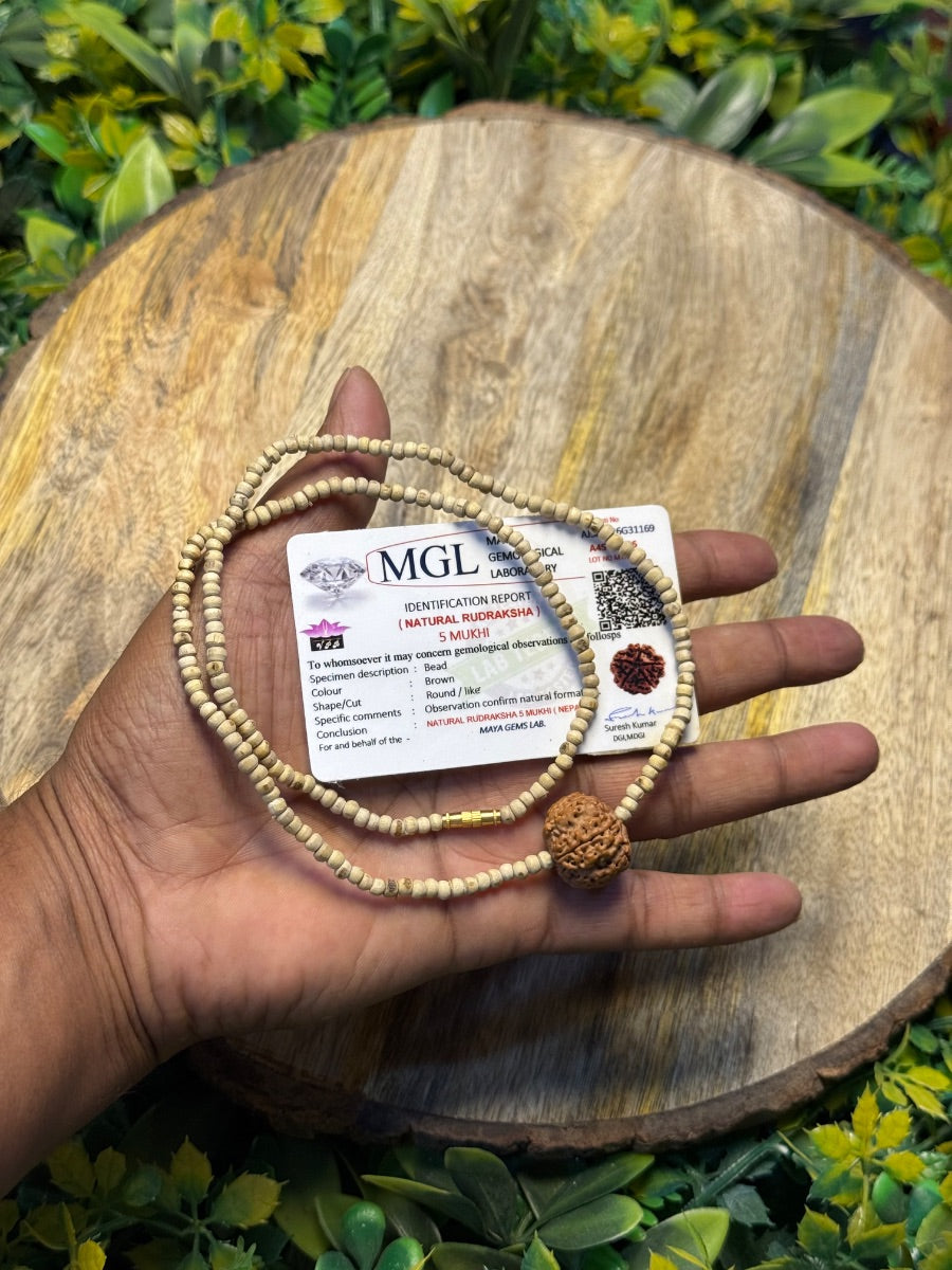 5 Mukhi Authentic Rudraksh With Pure Tulsi Mala-100% Original Lab Certified The Vrinda Store - Original Tulsi Kanthi Mala Shop In Vrindavan
