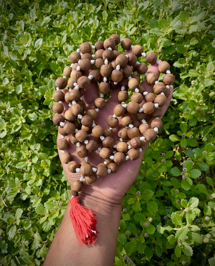108+1 Brown Original Tulsi Jap Mala- 12 MM The Vrinda Store - Original Tulsi Kanthi Mala Shop In Vrindavan