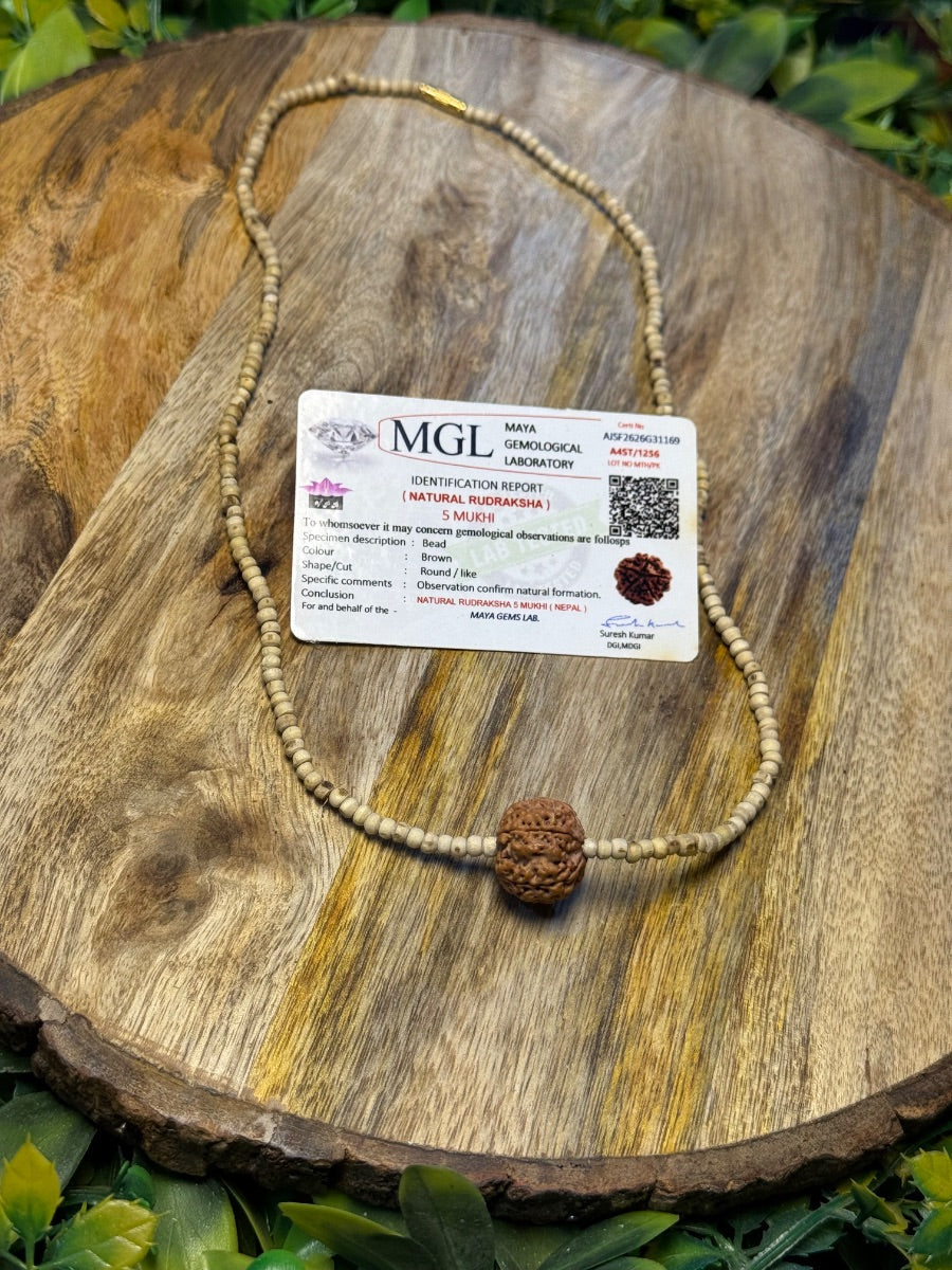 5 Mukhi Authentic Rudraksh With Pure Tulsi Mala-100% Original Lab Certified The Vrinda Store - Original Tulsi Kanthi Mala Shop In Vrindavan