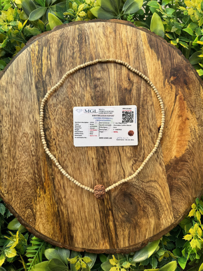 1 Round 7 Mukhi Rudraksh With Original Tulsi Mala(lab certified) The Vrinda Store - Original Tulsi Kanthi Mala Shop In Vrindavan
